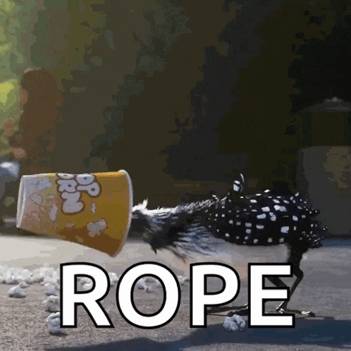 Becky Finding Dory Gif GIF