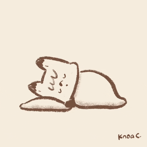 Bed Time Cat Blanket GIF