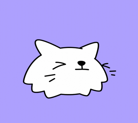 Bed Time Yawning Cat GIF