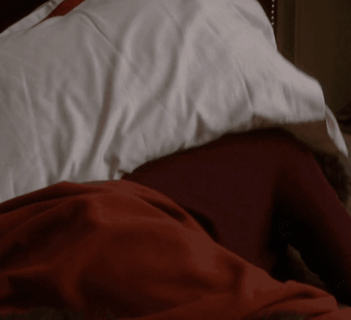 Bed with Red Blanket and White Pillows