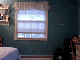 Bedroom with Blue Walls and Window