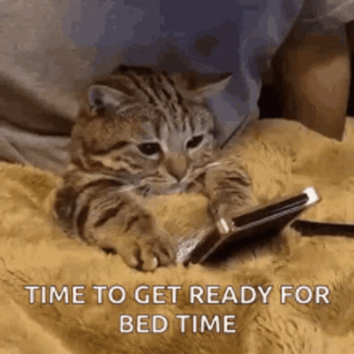 Bedtime GIF