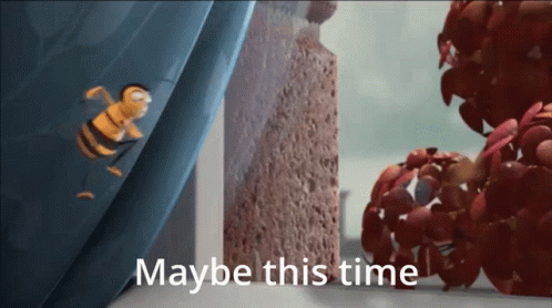 Bee Movie Maybe This Time GIF
