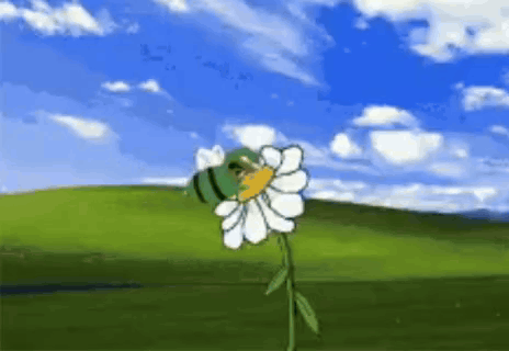 Bee on Flower in Field