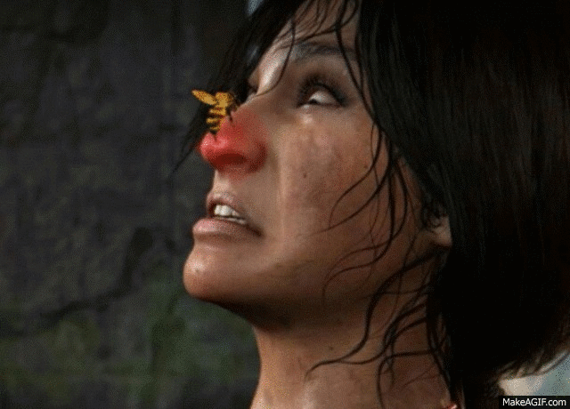 Bee Stinging Nose GIF