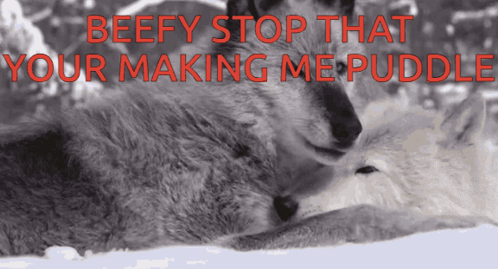 Beefy Stop That Your Making Me Puddle Wolves