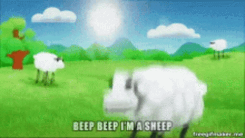 Beep Beep Sheep GIF