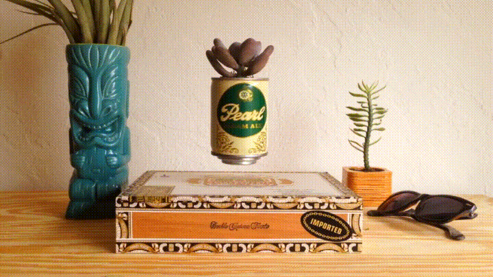 Beer Pearl Plant 360 Degree Turn GIF