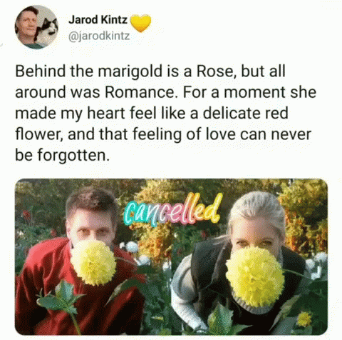Behind The Marigold Is A Rose But All Around Was Romance .. GIF
