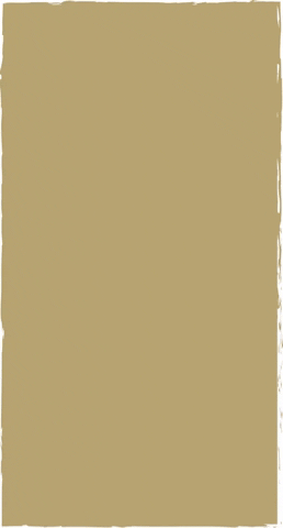 Plain Beige Minimalist Concept GIF