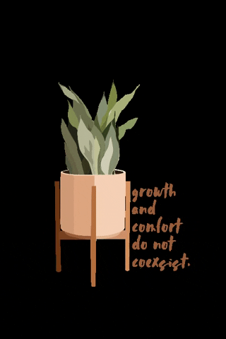 Beige Minimalist Plant Box Flickering Text GIF