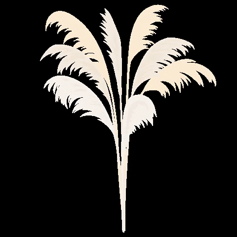 Beige Minimalist Pampas Grass Swaying GIF