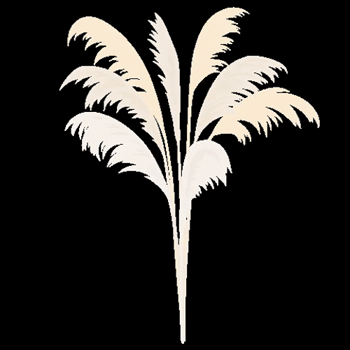Beige Minimalist Pampas Grass Swaying GIF