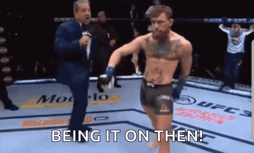 Being On It Conor Mcgregor Walk GIF