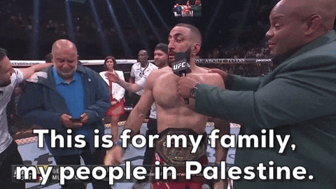 Belal Muhammad Fighting For Palestine GIF
