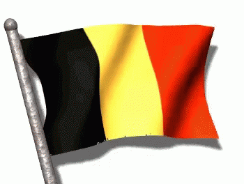 Belgium Flag Pole GIF