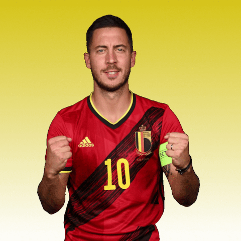 Belgium Football Eden Hazard GIF