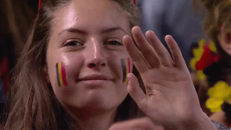 Belgium Volleyball Wave GIF
