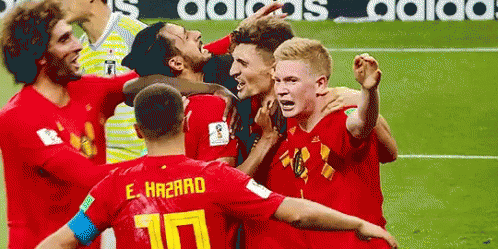 Belgium World Cup GIF