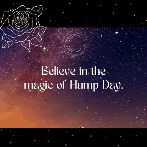 Believe in the Magic of Hump Day Poster With Rose and Crescent Moon