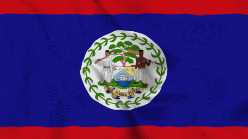 Belize Flag Gif GIF