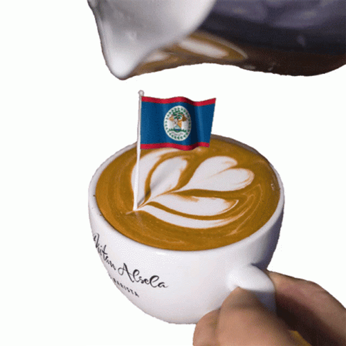 Belize Flag Latte Art GIF