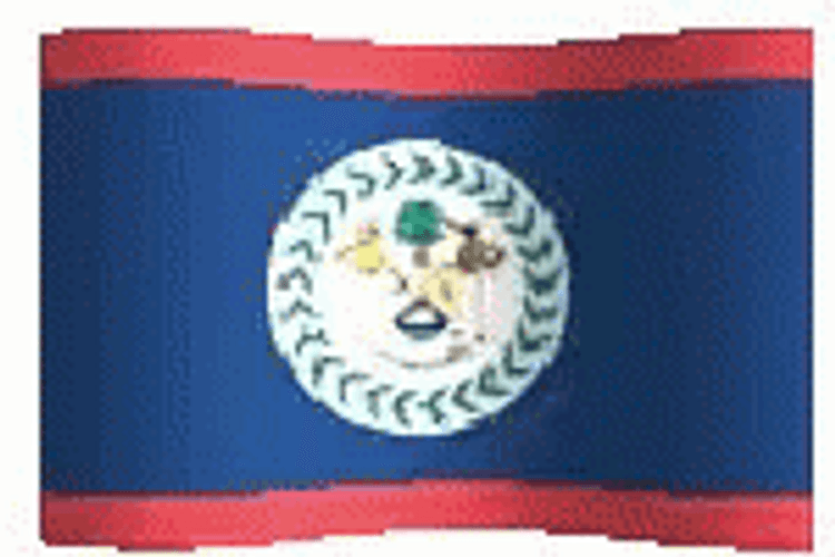 Belize Flag Pixelated Waving GIF
