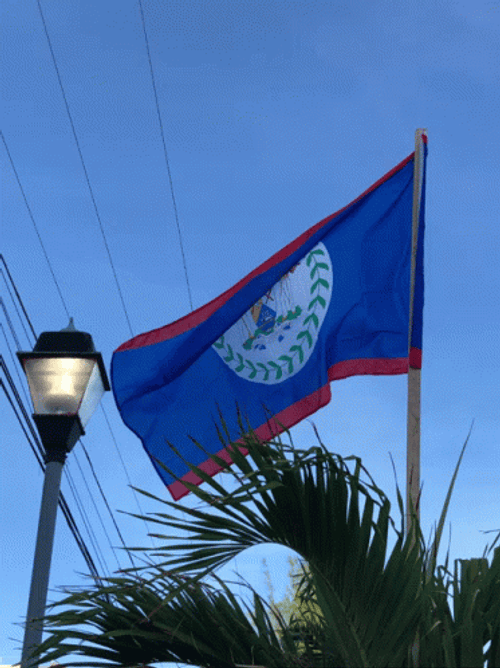 Belize Flag Pole Waving GIF