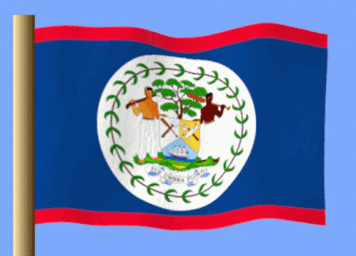 Belize Flag Waving Animated GIF