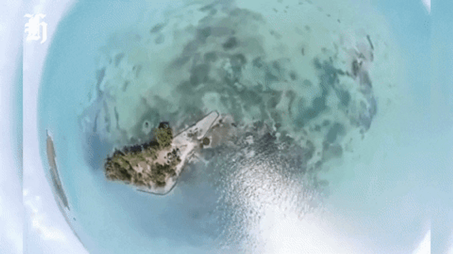 Belize Island Drone Shot GIF