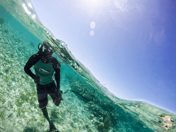 Belize Snorkeling Moving Waves GIF