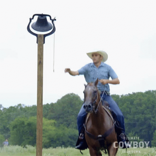 Hunter Arnold Bell Ringing GIF