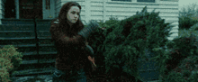 Bella Swan Slips On Ice Oops GIF