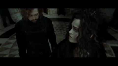 Bellatrix Lestrange And Ron Weasley GIF