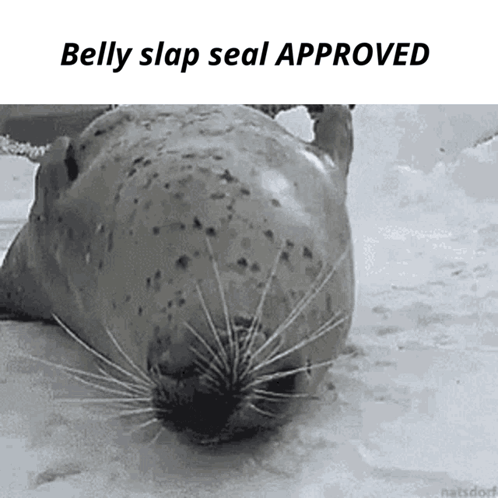 Belly Slap Seal Approved