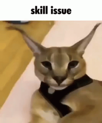 Beluga Cat Skill Issue GIF