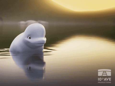 Beluga Dive Into Deep Water GIF