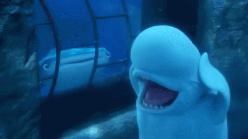Beluga Having Anxiety GIF