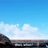 Beluga Rose From The Sea GIF