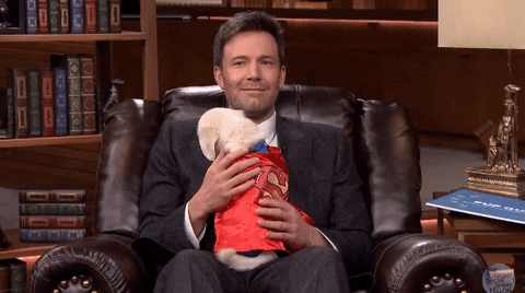 Ben Affleck Superman Dog GIF