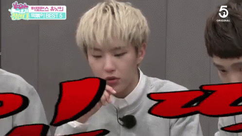 Ben Rice Hoshi Seventeen Kpop Group GIF