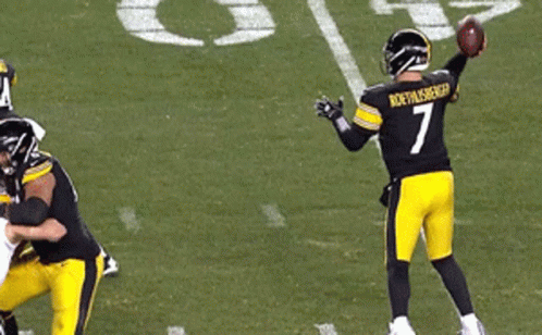 Ben Roethlisberger Perfect Catch GIF