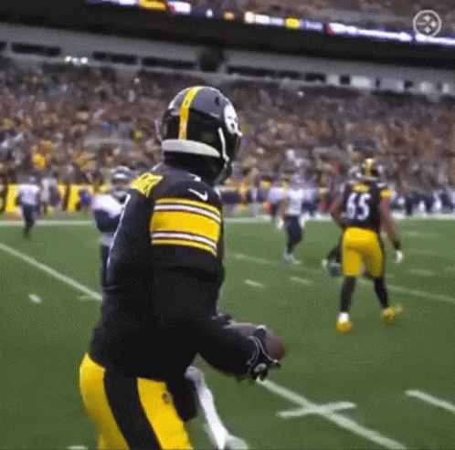 Ben Roethlisberger Waving Hands GIF