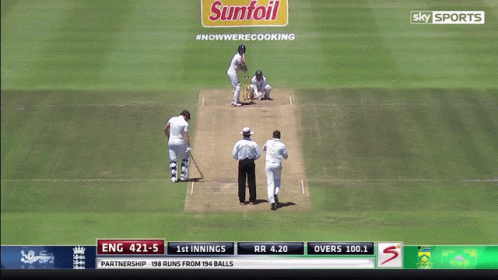 Ben Stokes Outside Ball GIF
