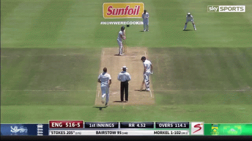 Ben Stokes People Ball GIF
