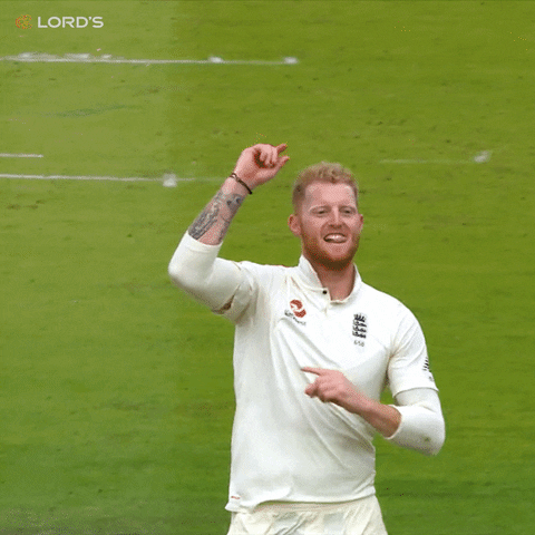 Ben Stokes Punched The Air GIF
