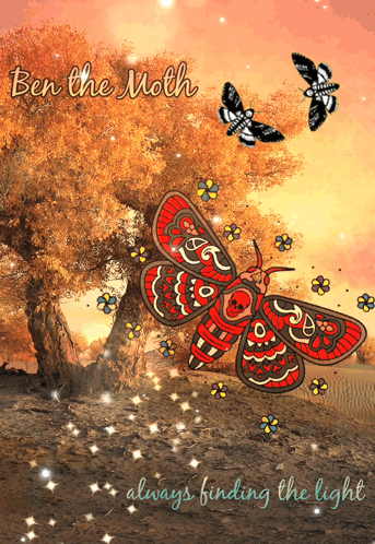 Ben The Moth Always Finding The Light GIF