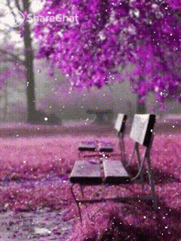 Bench Under Purple Trees GIF