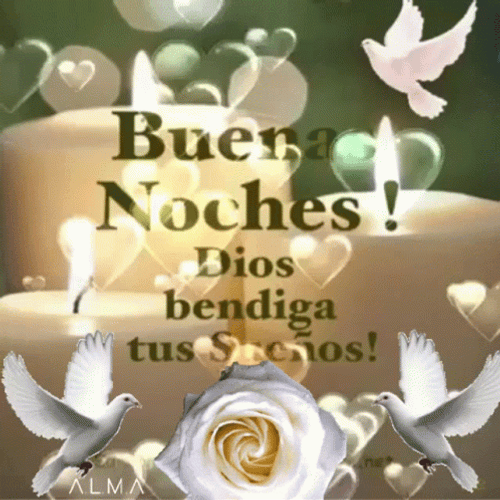 Bendecida Noche GIF