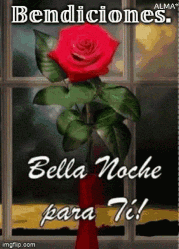 Bendecida Noche 359 X 498 Gif GIF